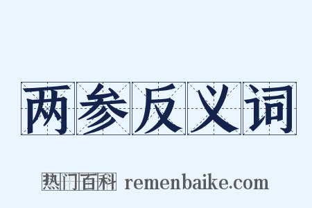 两参反义词是什么意思的图片